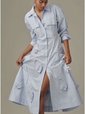Maeve 3D Floral Long-Sleeve A-Line Shirt Dress Anthropologie